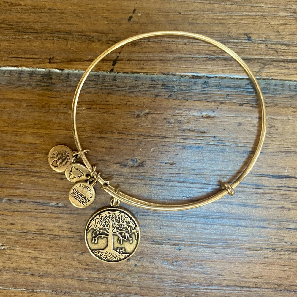 Alex and Ani Tree of Life Bangle Bracelet